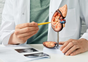 Common kidney diseases 1 Kidney disease