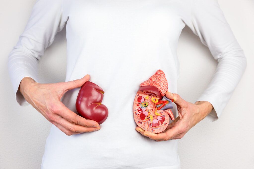 Preventing uremia