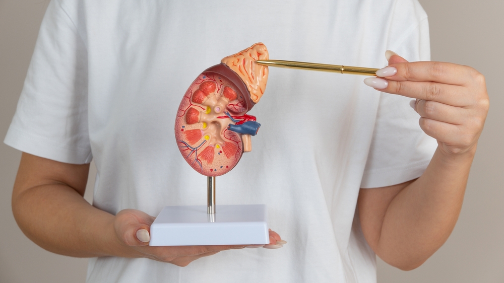 adrenal gland disorders