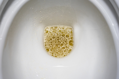 Foamy urine