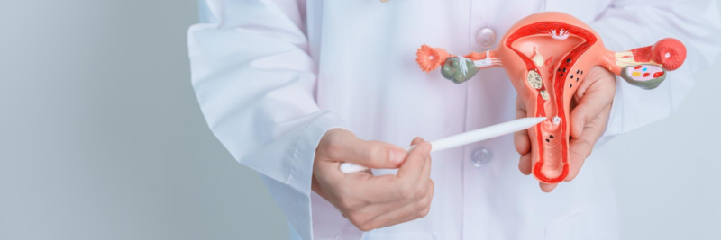 Pap smear and HPV testing results illustration showing cervical screening process