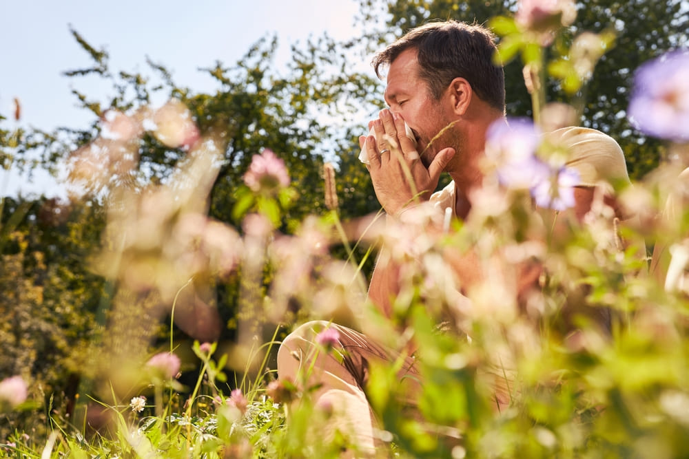 autumn allergens