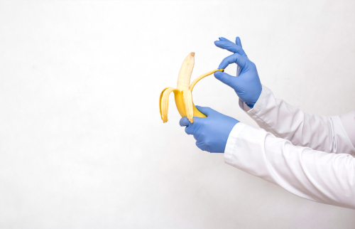 circumcised vs uncircumcised