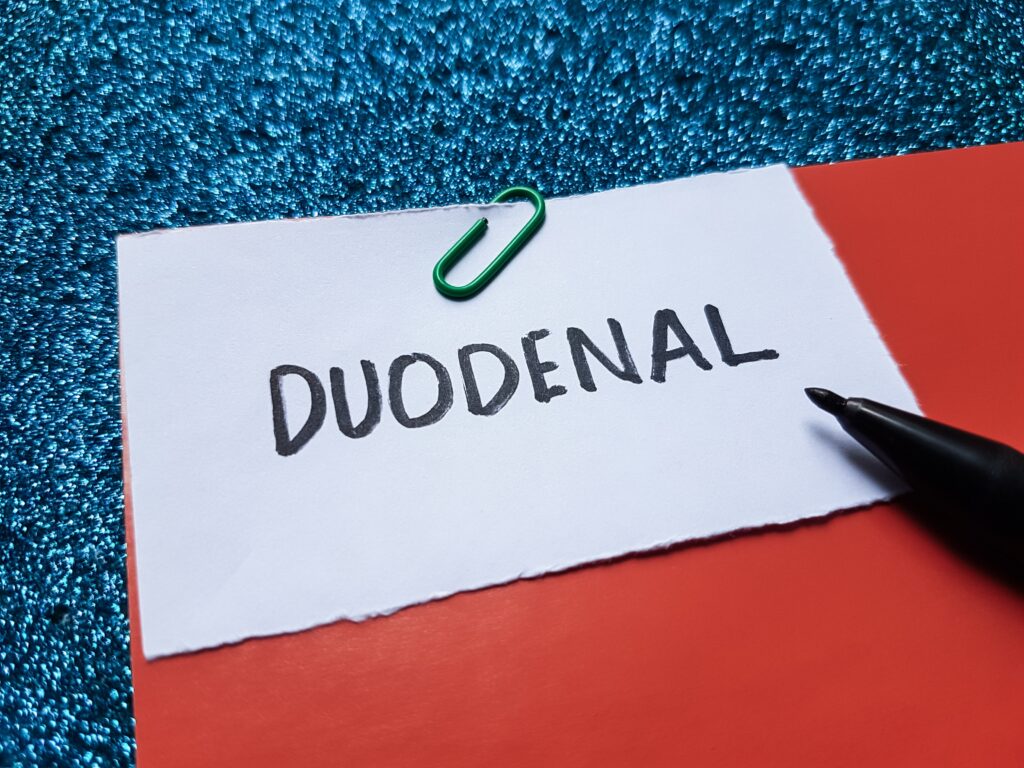 Shutterstock 2571141629